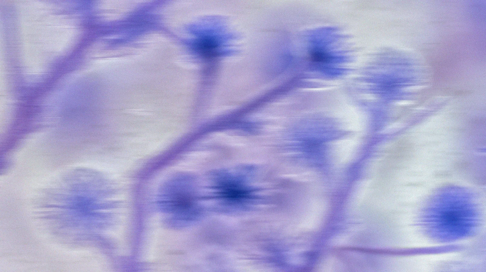 Detalle floral abstracto de Elemental Bloom