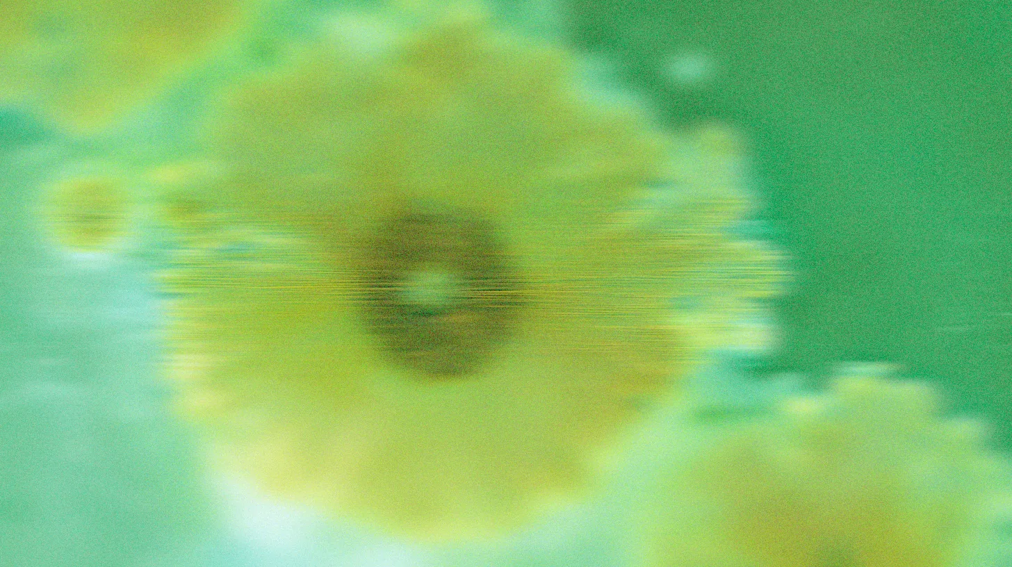 Detalle floral abstracto de Elemental Bloom